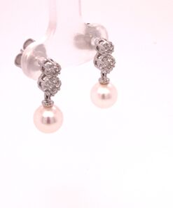 Alternative view of Ohrgehänge