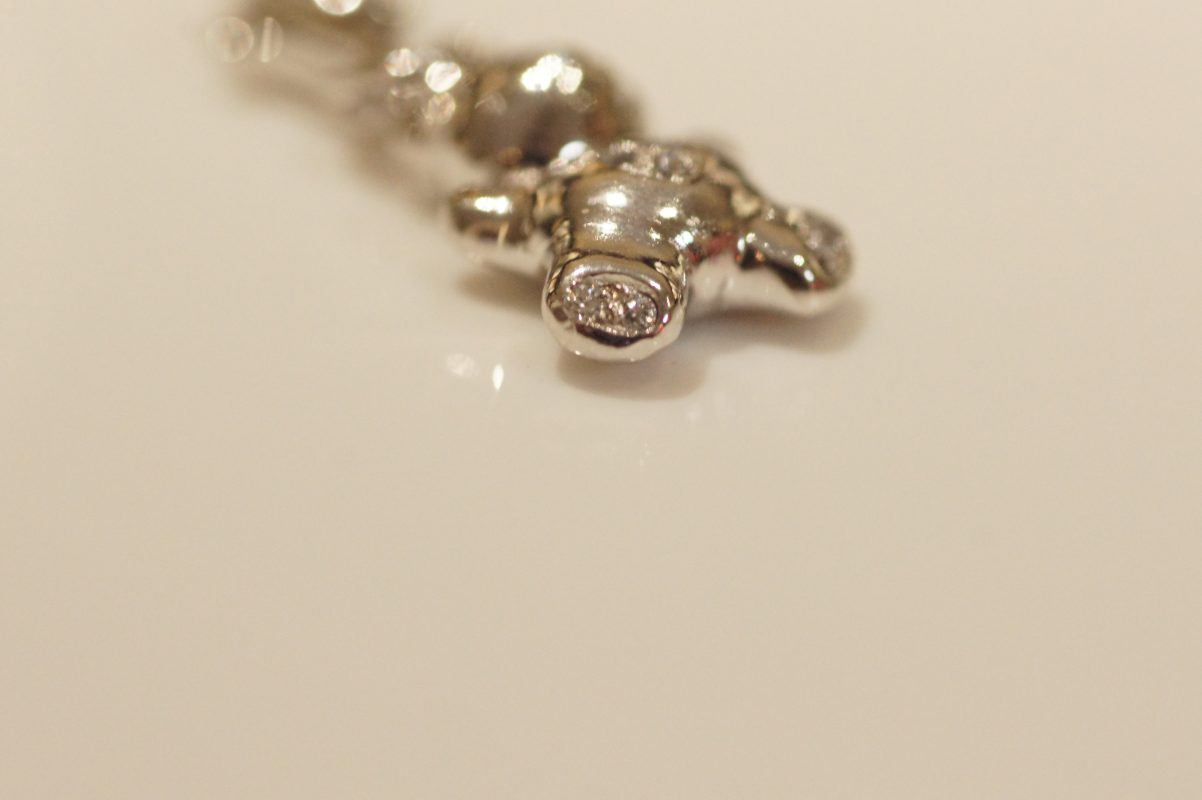 Onlineshop – Goldzander