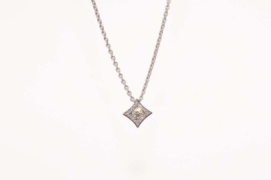 Onlineshop – Goldzander