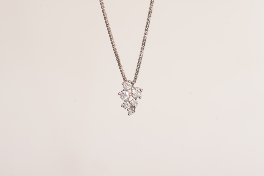 Onlineshop – Goldzander