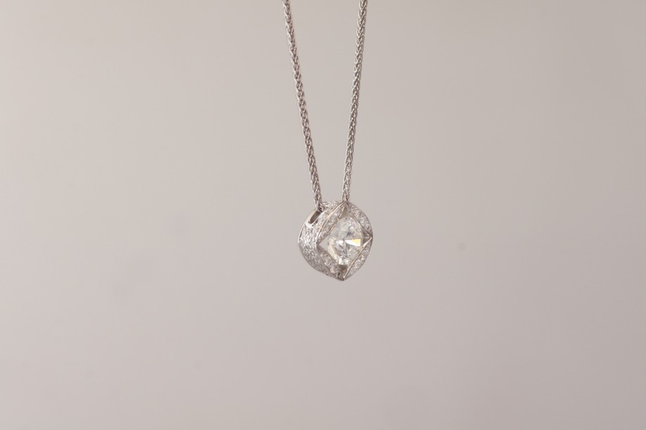 Onlineshop – Goldzander