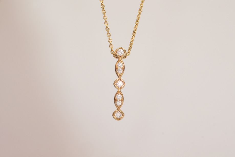 Onlineshop – Goldzander