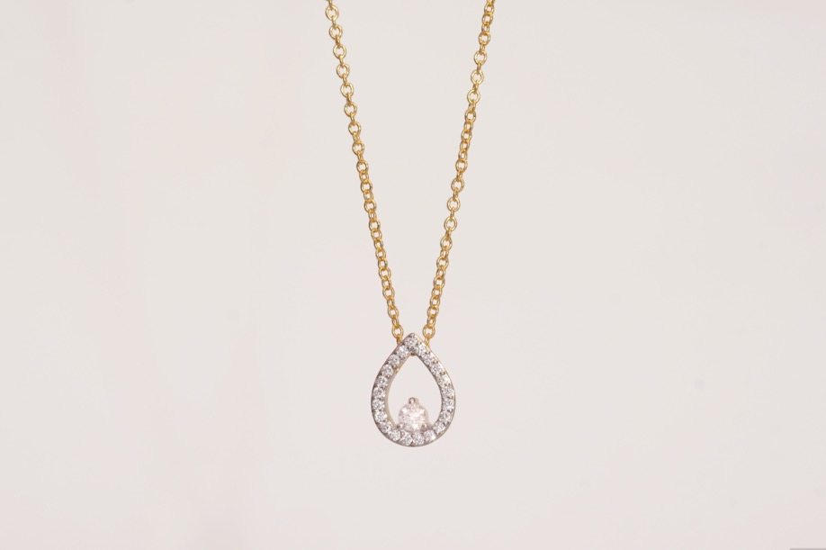 Onlineshop – Goldzander