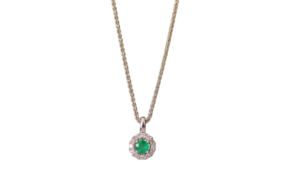 Onlineshop – Goldzander
