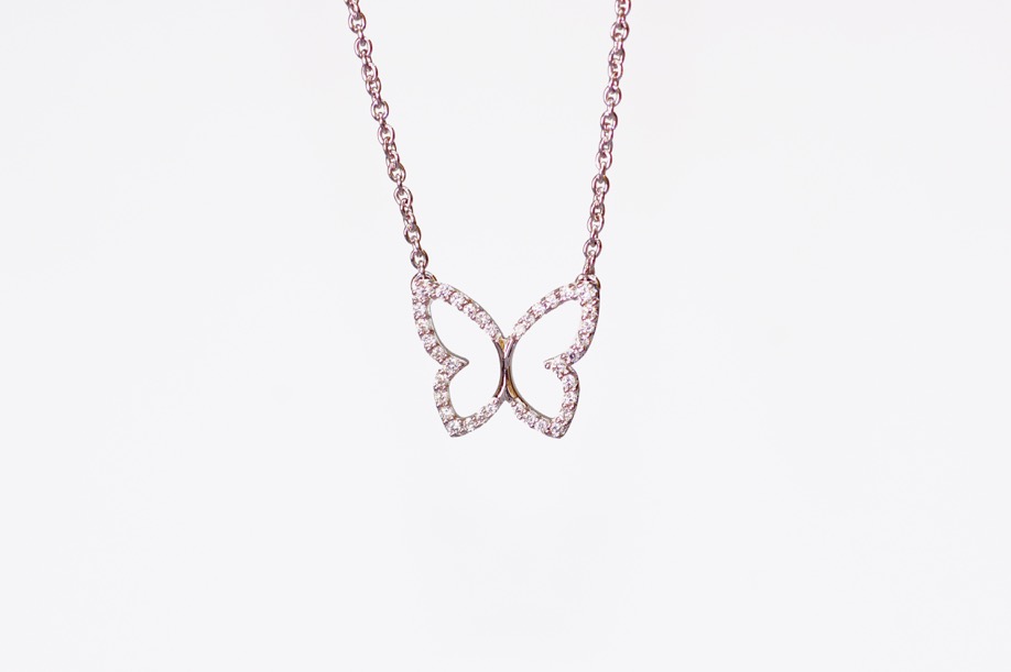 Onlineshop – Goldzander