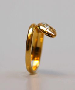 Alternative view of Schlangenring